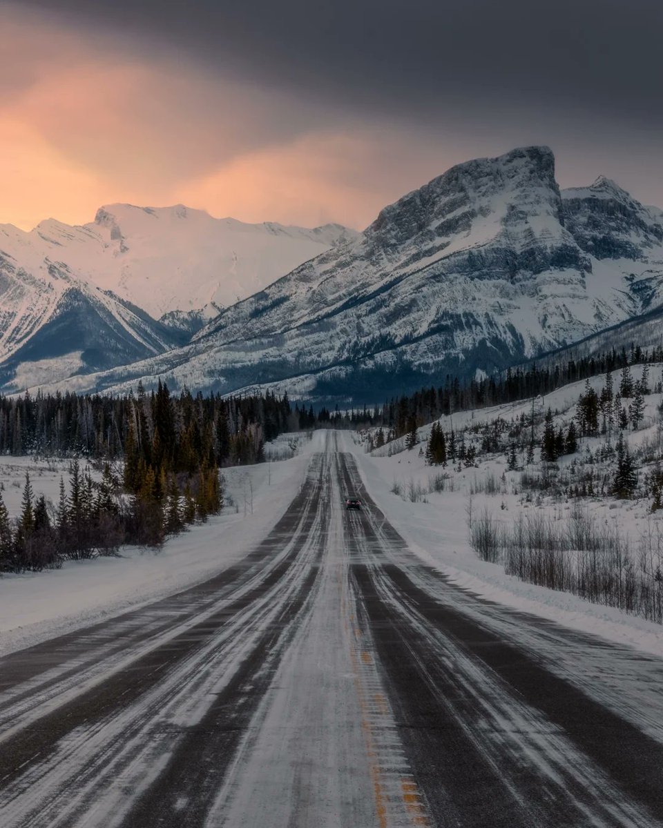 World Best tweet media