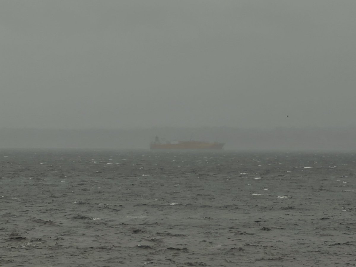 Neil Sargeant tweet media