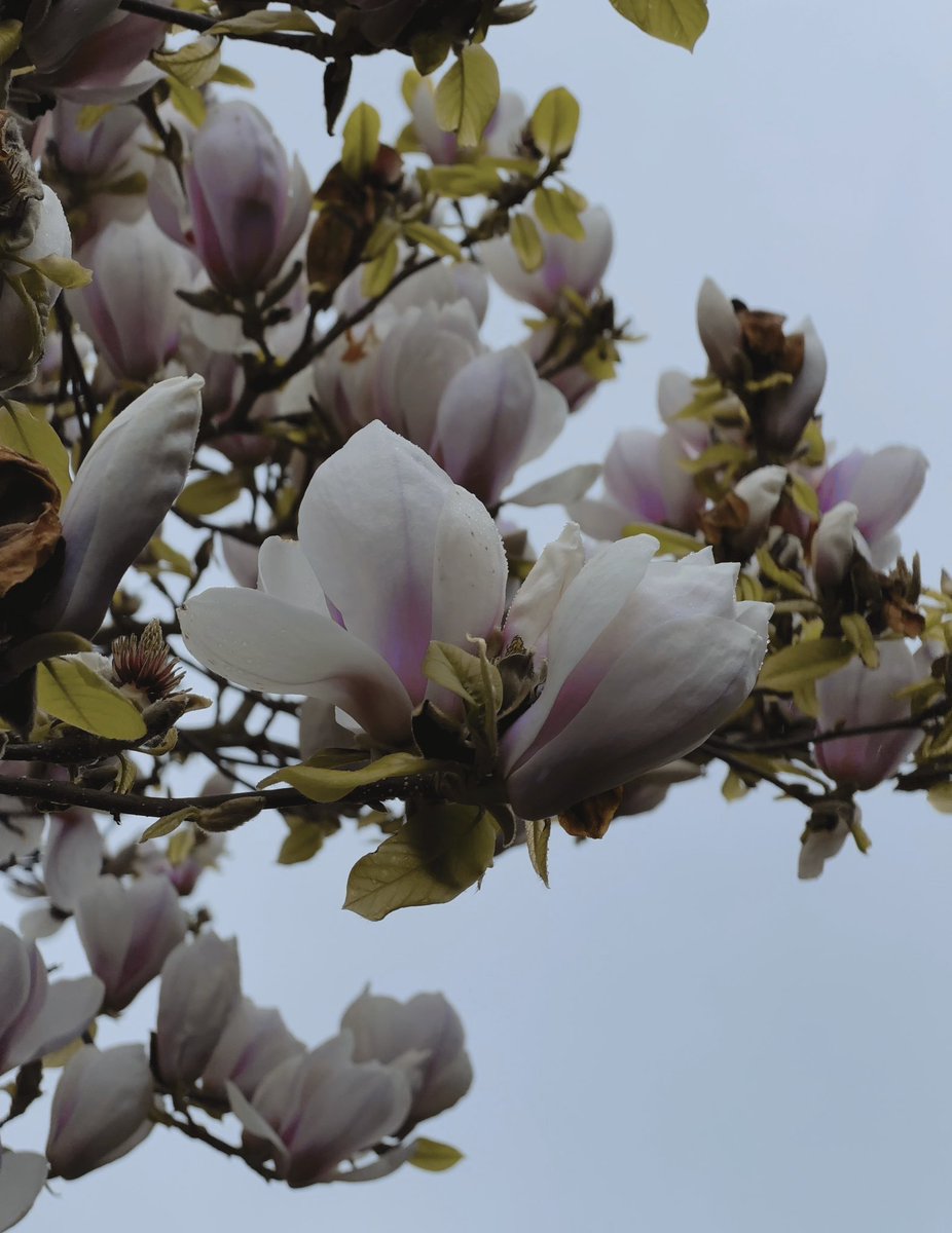 Neil Sargeant tweet media