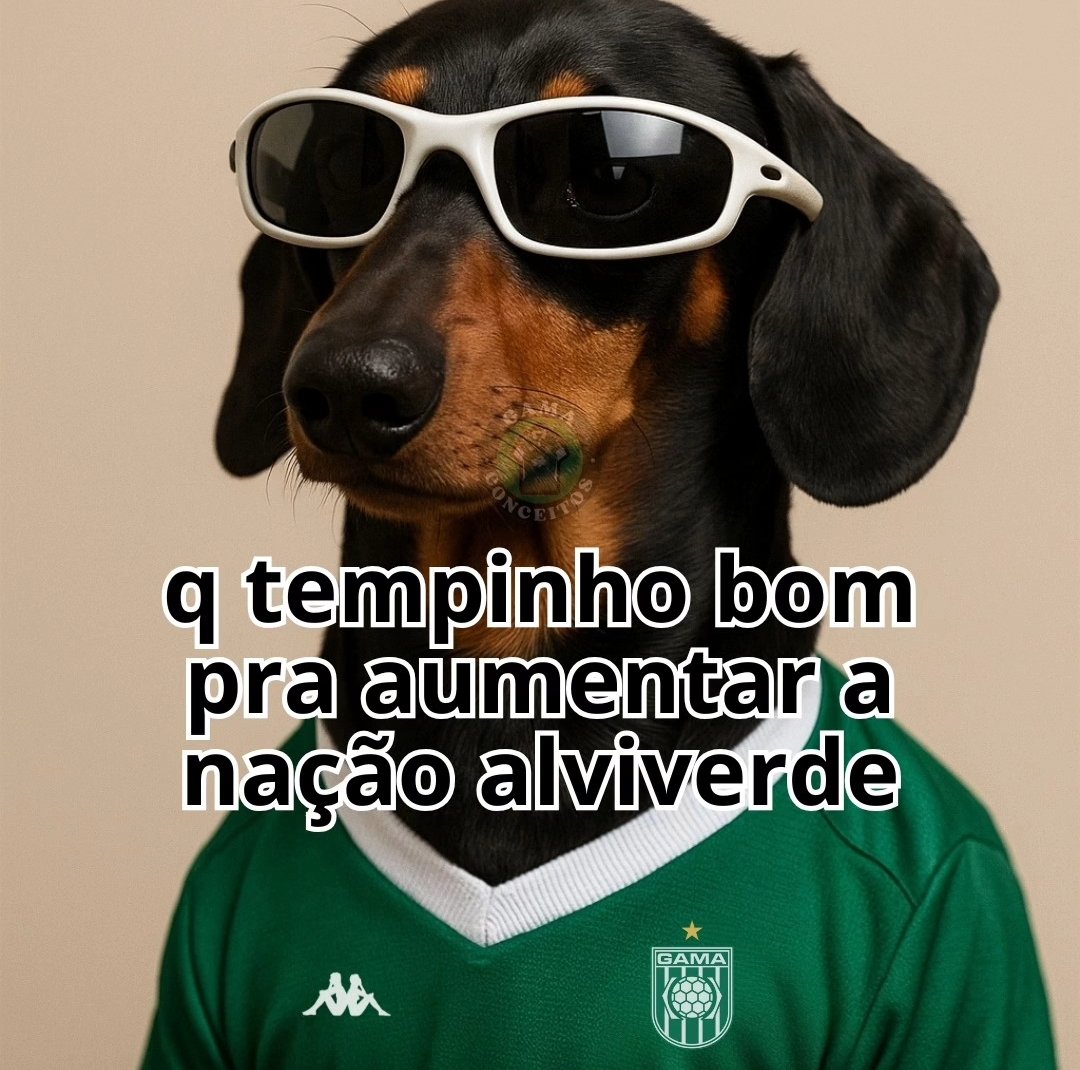 rangel 🇳🇬 ˢᵉᵍ tweet media