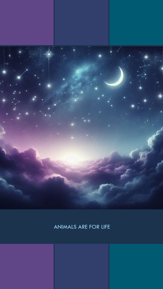 Rebecca White tweet media