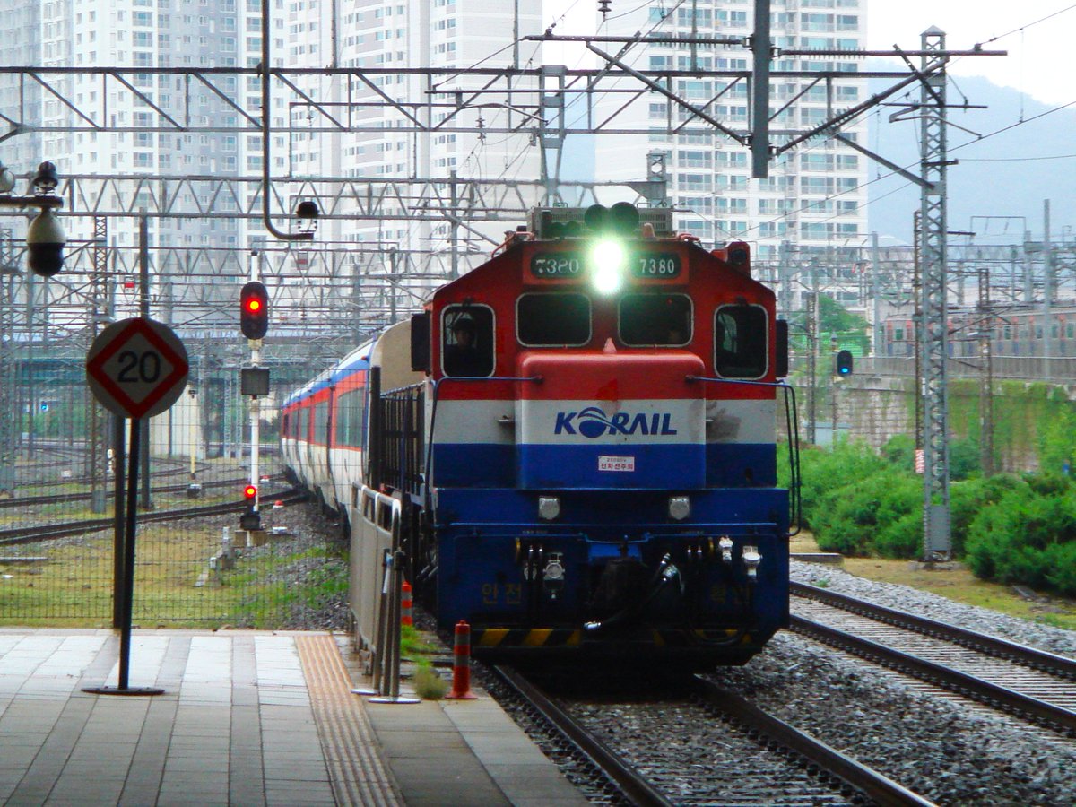 雷鳥 뇌조 tweet media