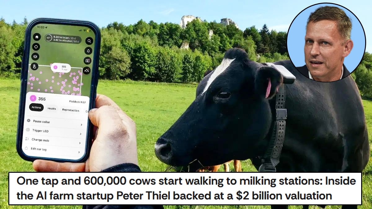 Jason Bassler tweet media