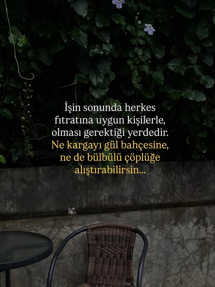 ils Sont Eux tweet media