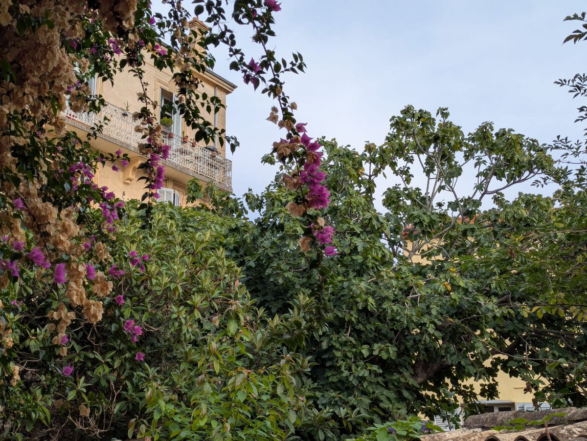 LeCannetVille's tweet image. Très belle soirée 🙂

#LeCannet #CotedAzurFrance #MagnifiqueFrance #jaimemaville