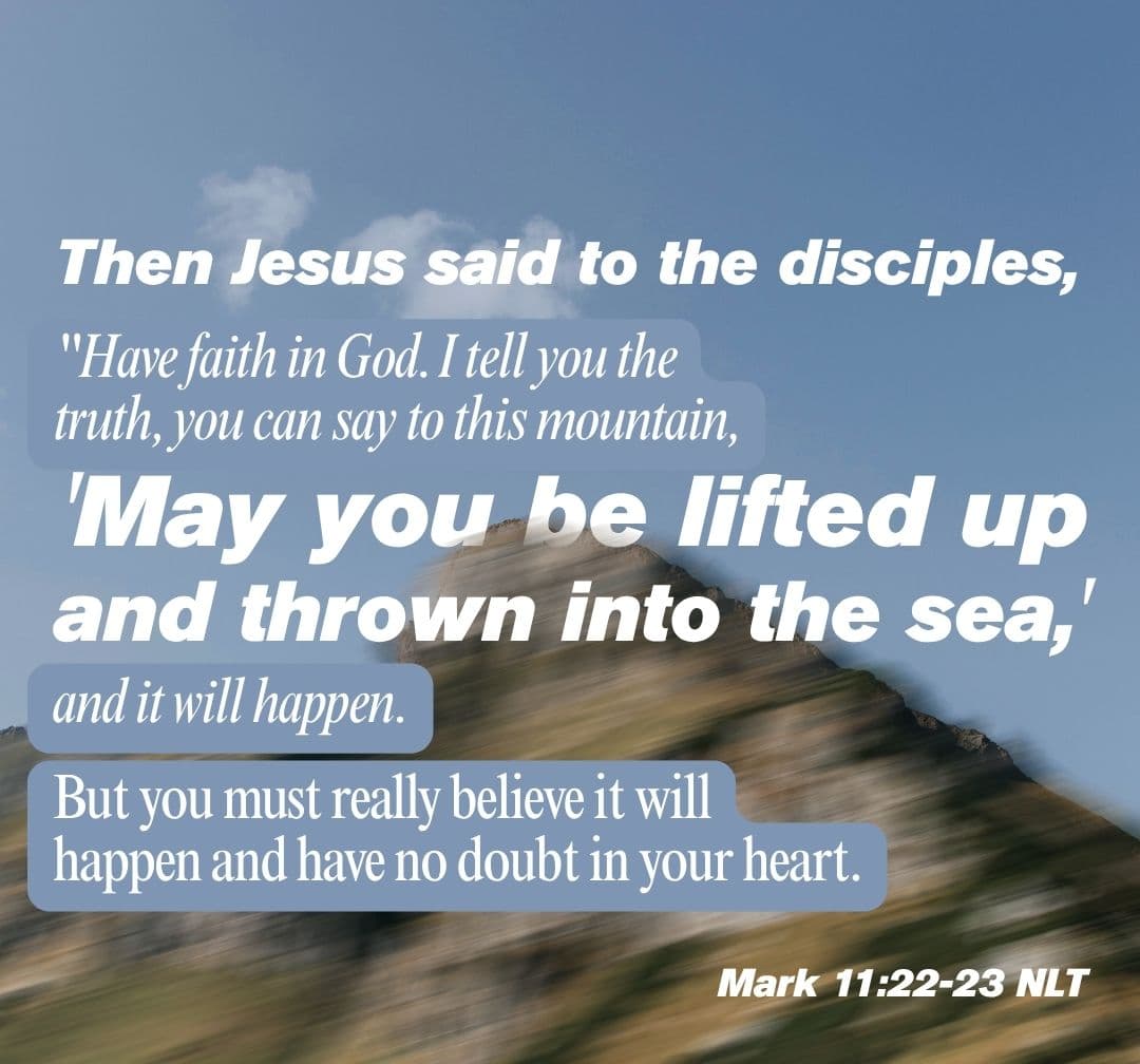 ʝкρα tweet media