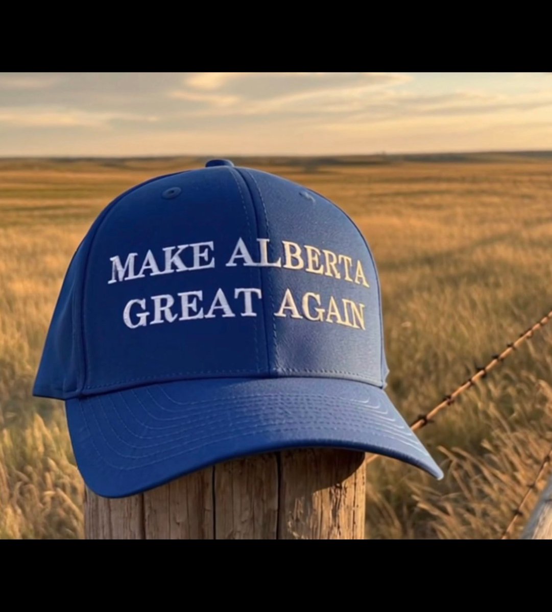 @templer_rising tweet media