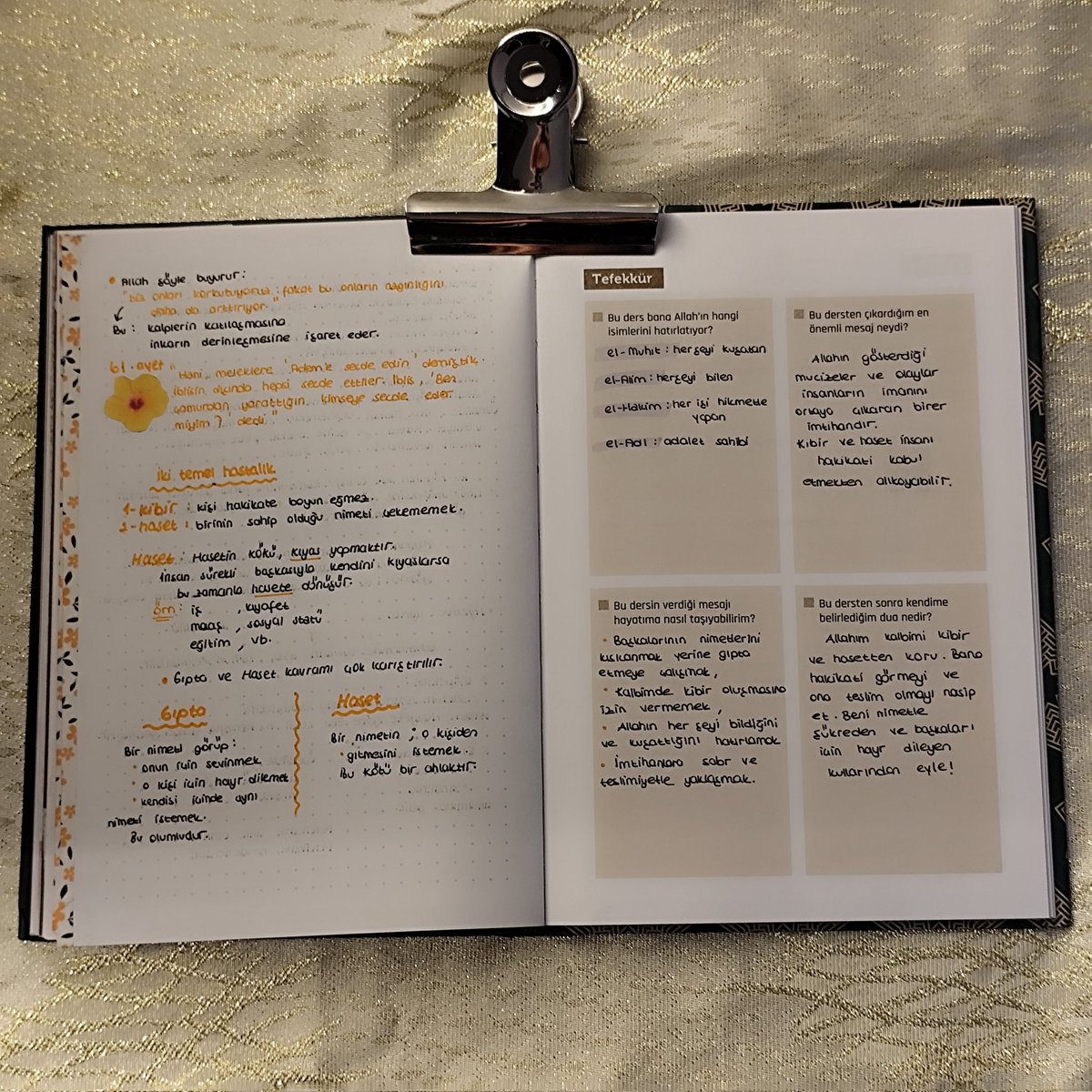 rürü harikalar diyarı tweet media