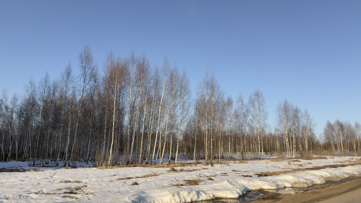 🇷🇺Елена♥️Россия🇷🇺 tweet media