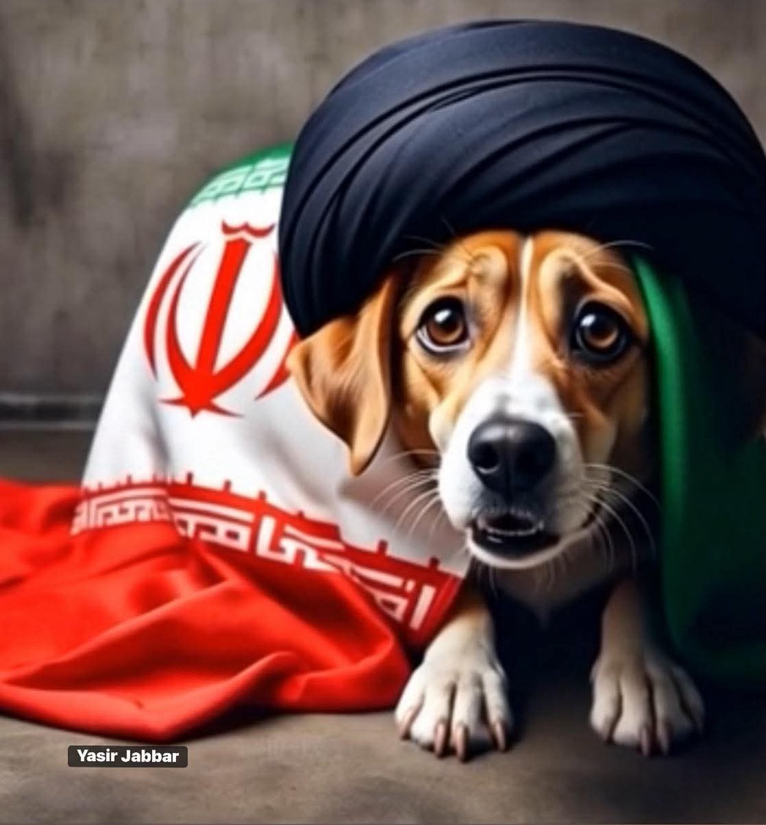 ﻤبارڪ ه‍لال tweet media