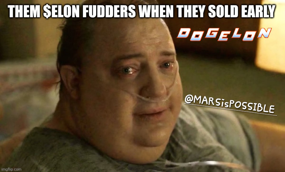 DOGELON MEME LORD tweet media