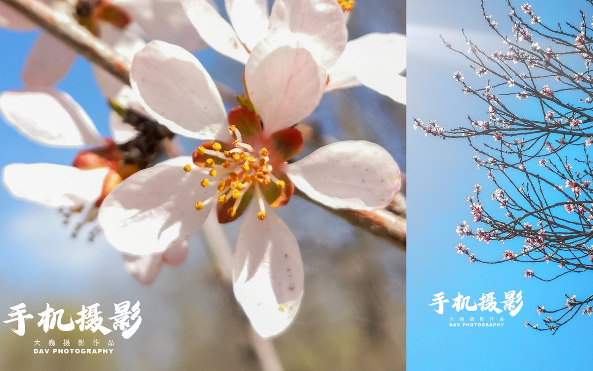 Pradeep Maurya  tweet media