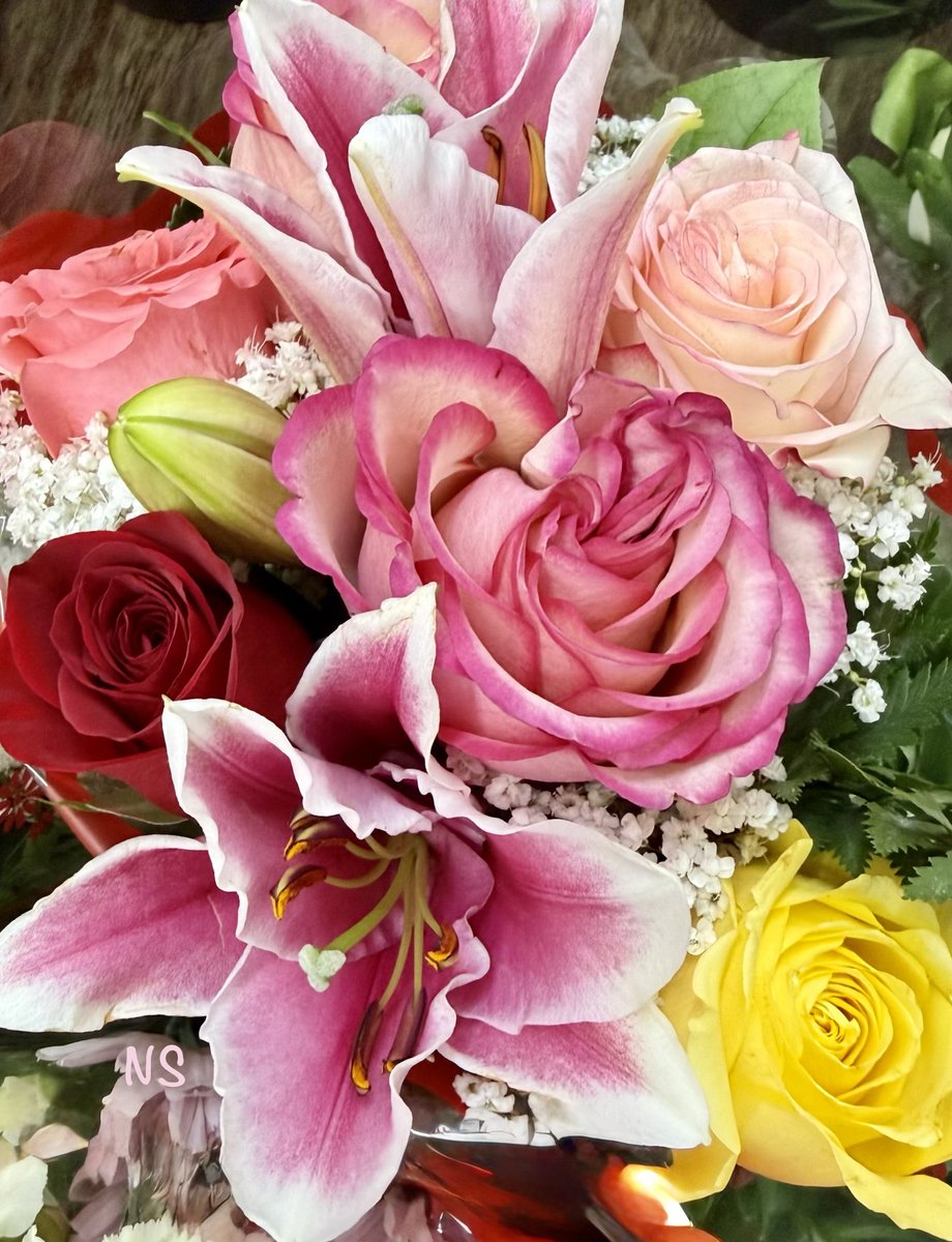 💃NS💃🇺🇸🕊 tweet media