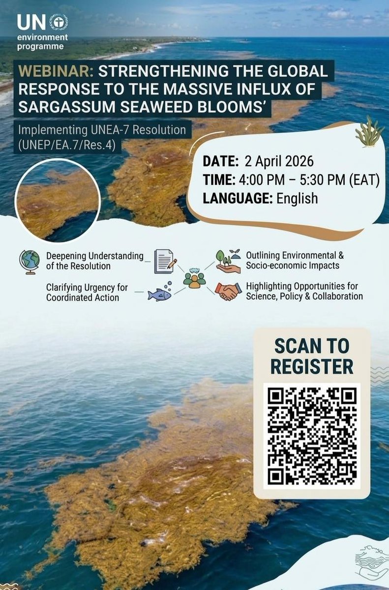 Join us on 2 April (16:00–17:30 GMT+3) for a webinar on implementing UNEA Resolution 7/4 to strengthen the global response to Sargassum seaweed blooms.
Speakers from the Dominican Republic, Ghana, scientific experts &amp; Caribbean regional bodies.
🔗Register: events.teams.microsoft.com/event/4640b29c…