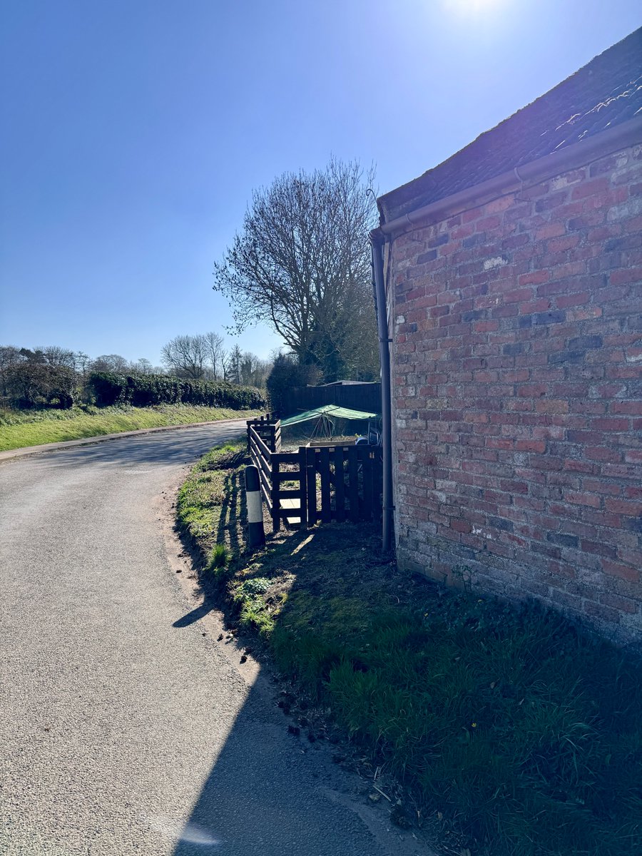 Kitchen Garden tweet media