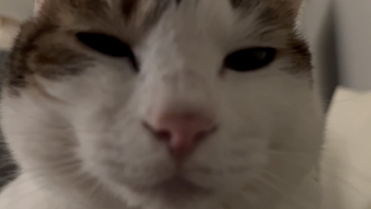 수목이 tweet media