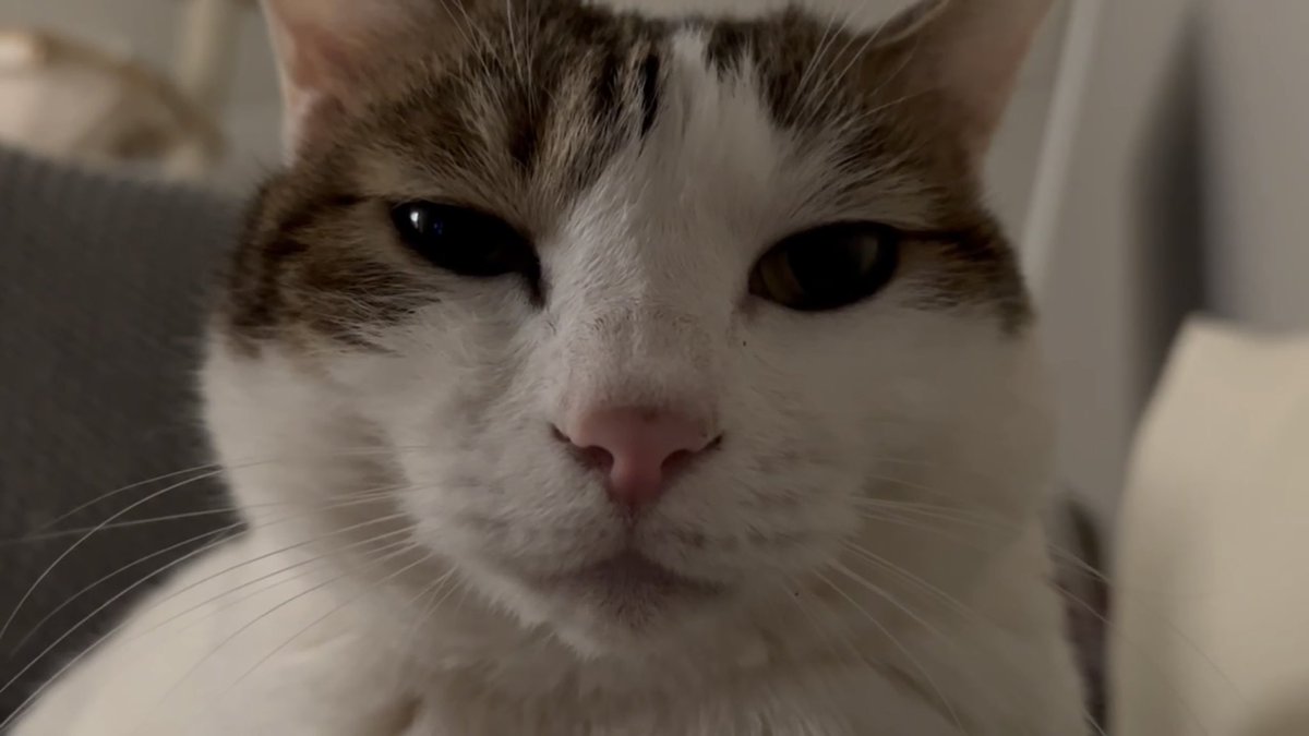 수목이 tweet media