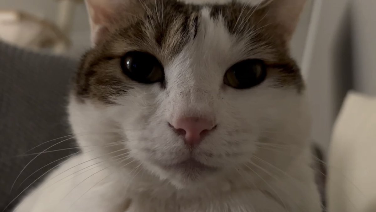 수목이 tweet media