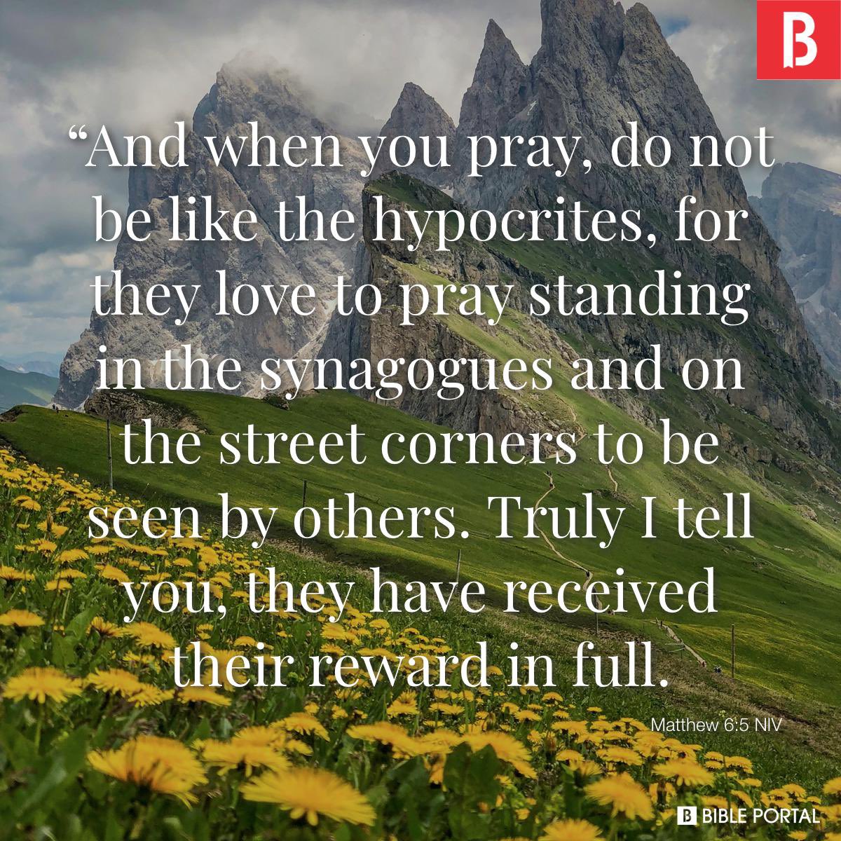 CVanDutch tweet media