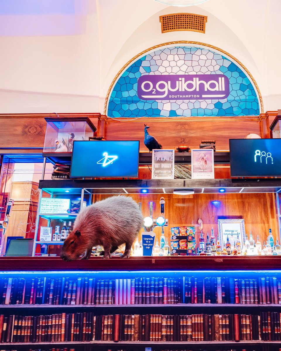 O2 Guildhall tweet media