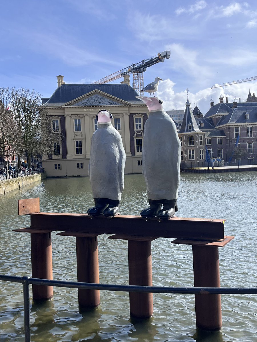 Ad van der Zee 📖 tweet media