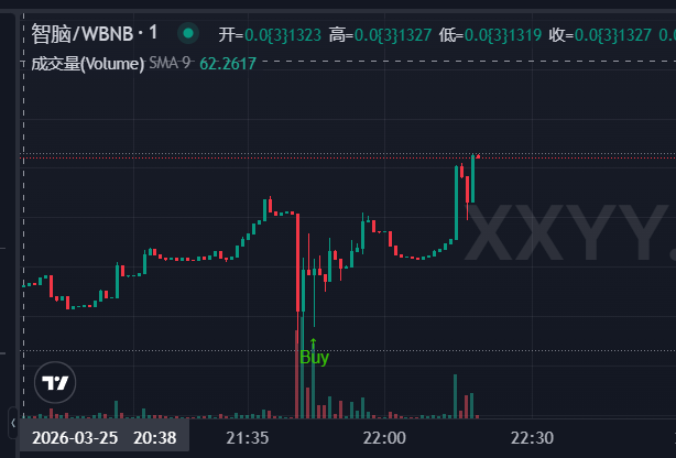 0x518 🔶 BNB tweet media