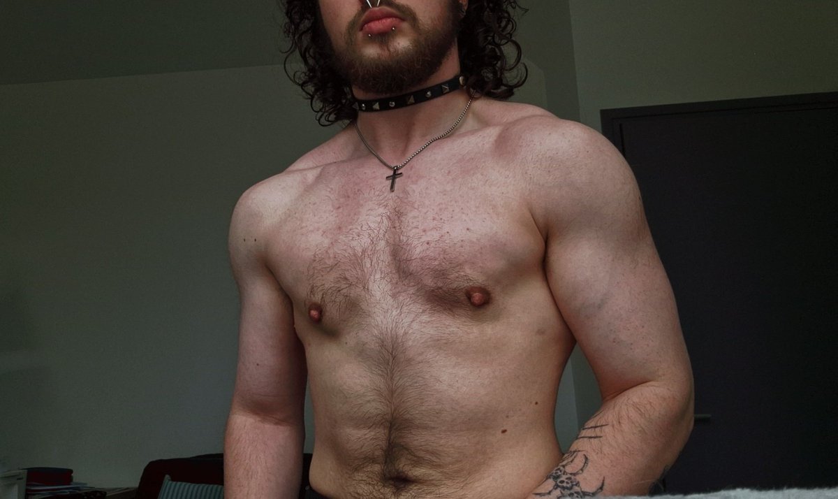 Elfiboy ✝𒉭 (Gymbro Knight 🇨🇵) tweet media