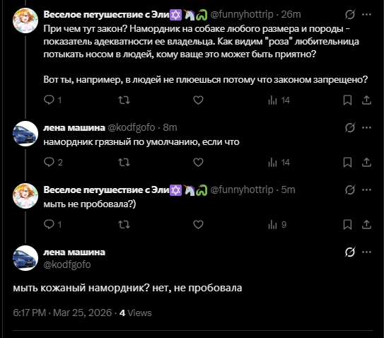 Веселое петушествие с Эли✡️🦄🐍 tweet media