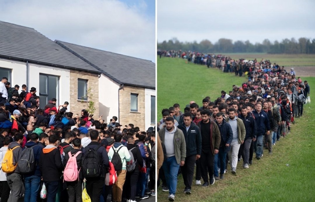 SnDMedia tweet media