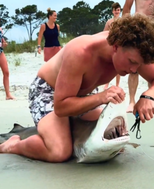 Learn with Kamalveer tweet media