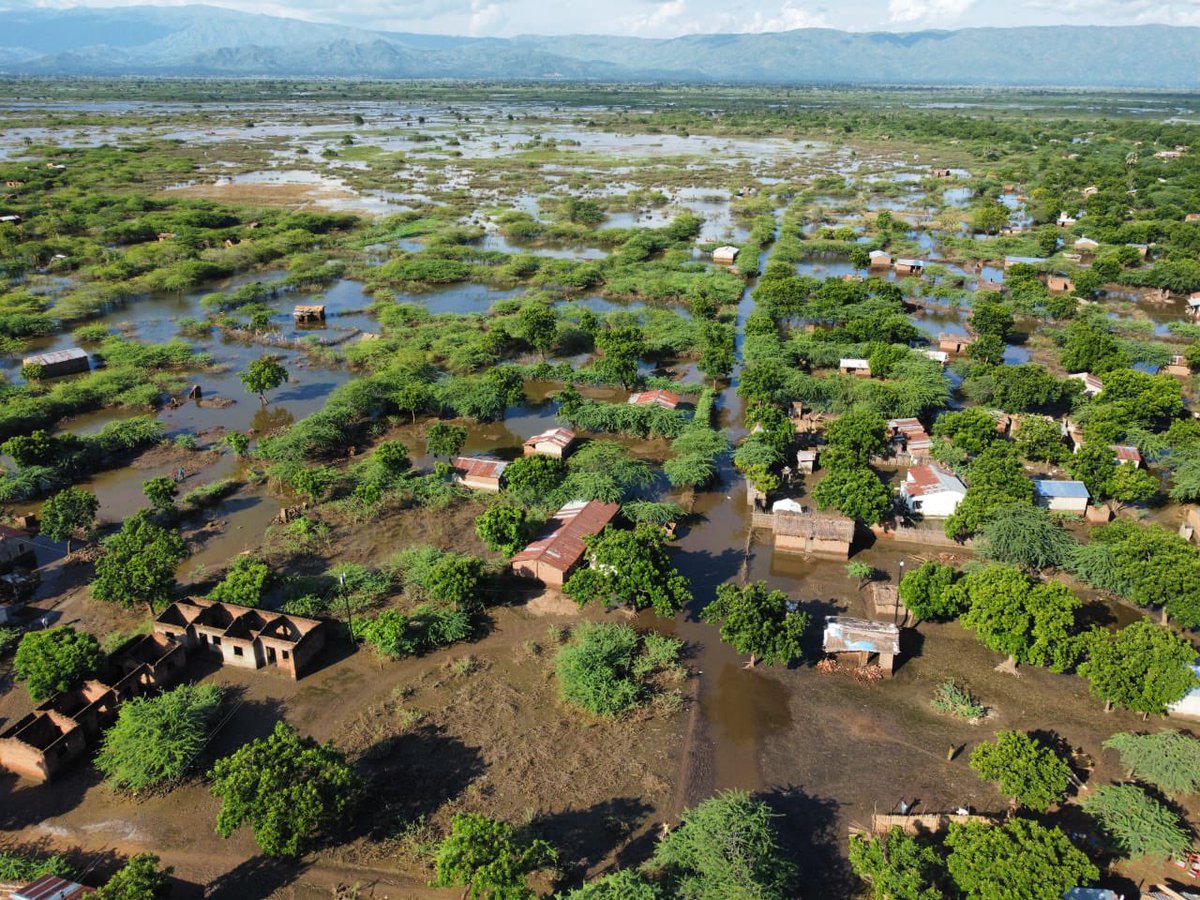 WFP Malawi tweet media