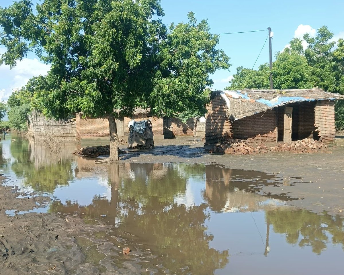 WFP Malawi tweet media