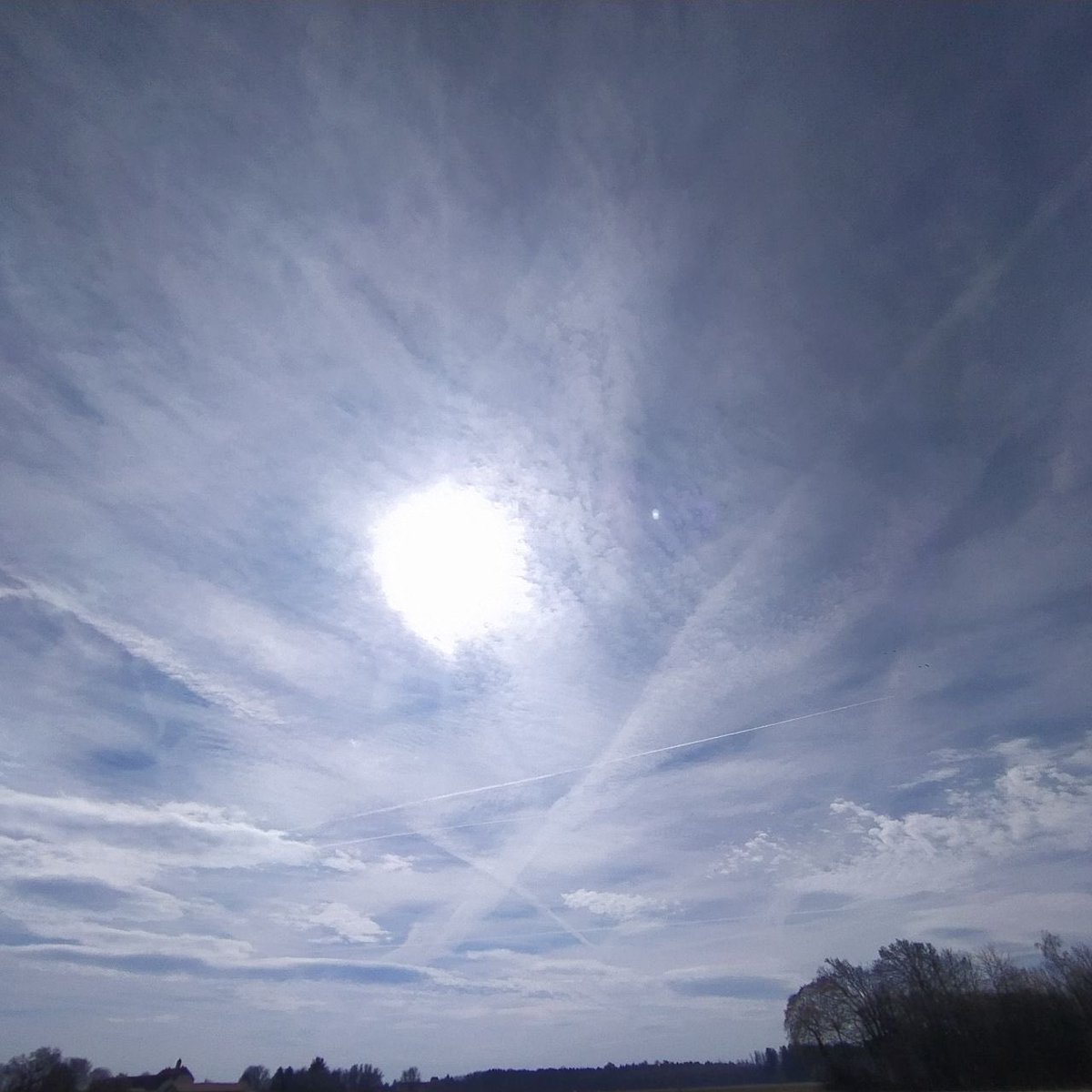 Birgitauer tweet media