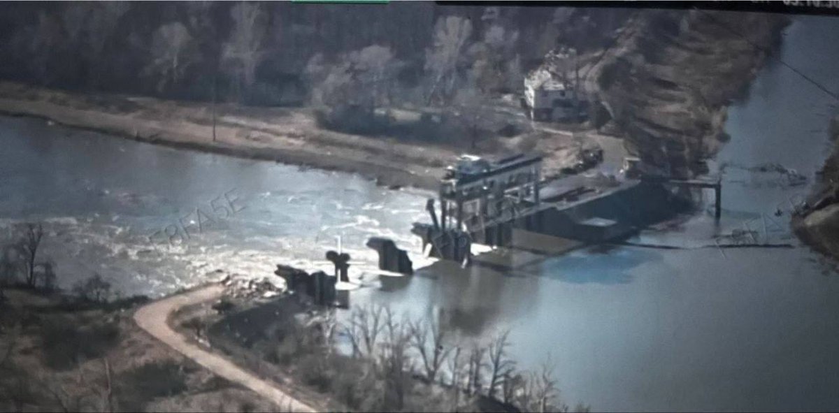 Пухнастий українобот 🇺🇦⚓️ tweet media