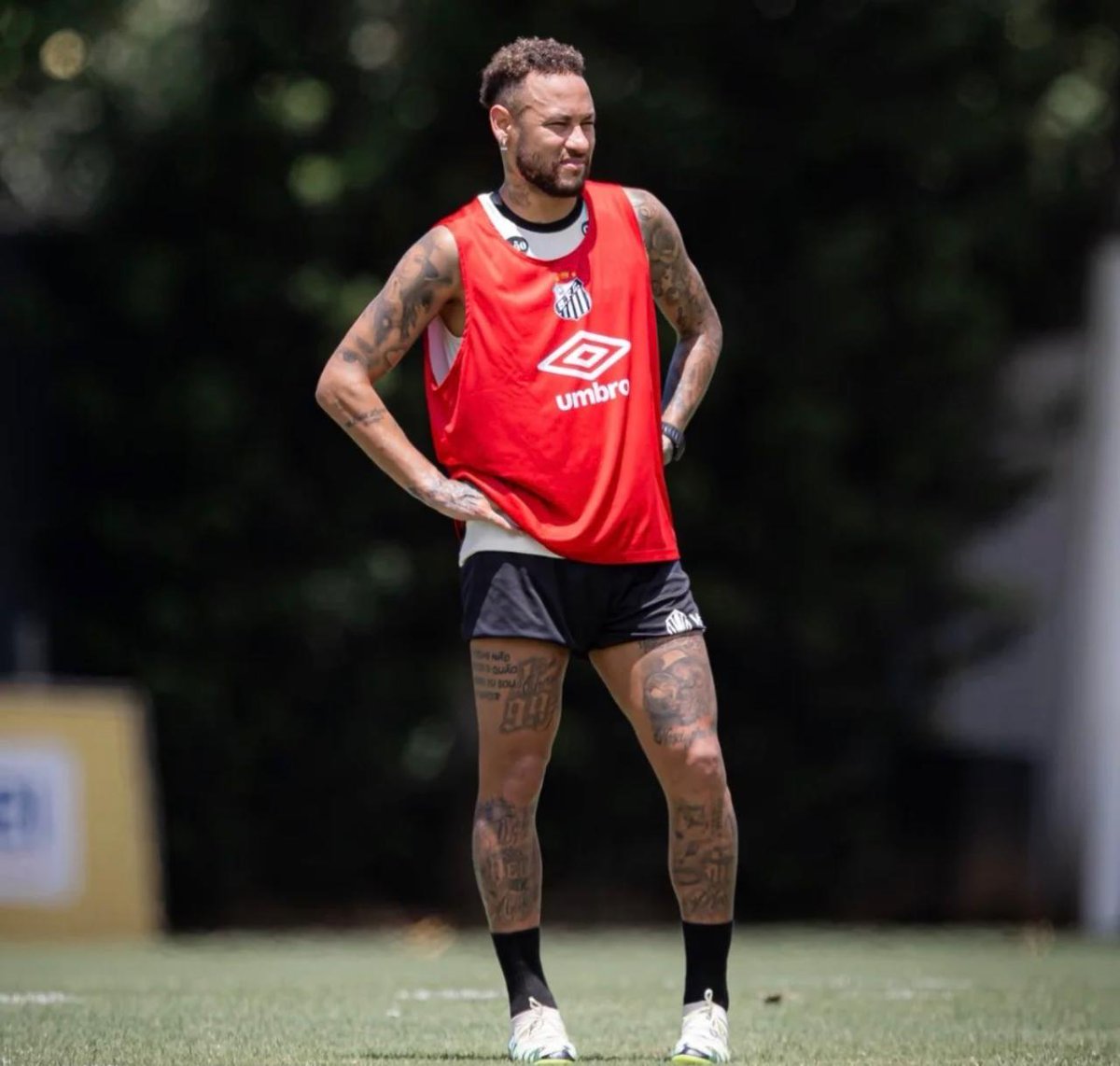 LIBERTA DEPRE tweet media