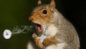 MaveraTR tweet media