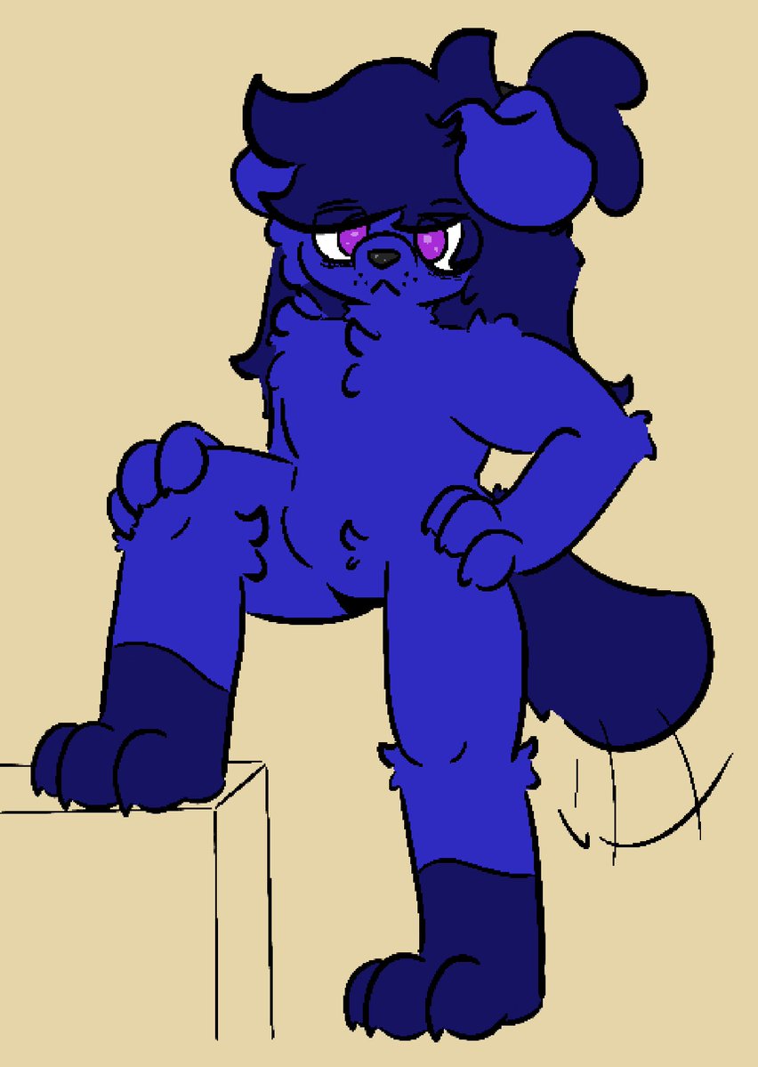 Grodle - Poe Enthusiast tweet media