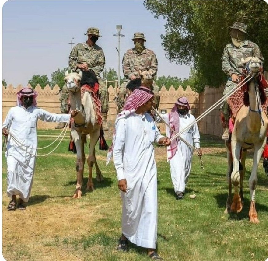 🇪🇬Amr atiaa🇪🇬 tweet media