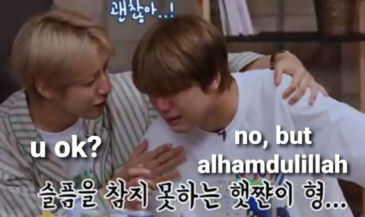 𝒅𝒊𝒕 ( ͡•. •͡. ) tweet media