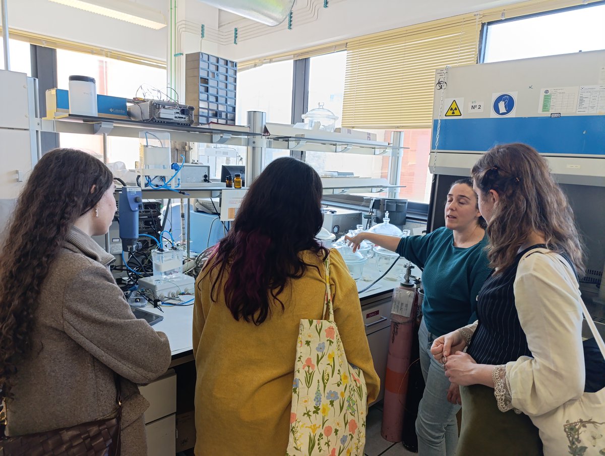 Instituto de Cerámica y Vidrio ICV-CSIC tweet media