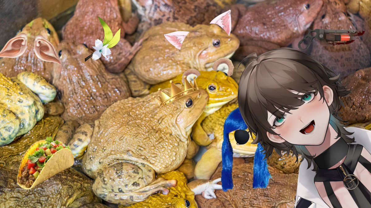 Eliasapi 🐸🧙‍♀️ tweet media