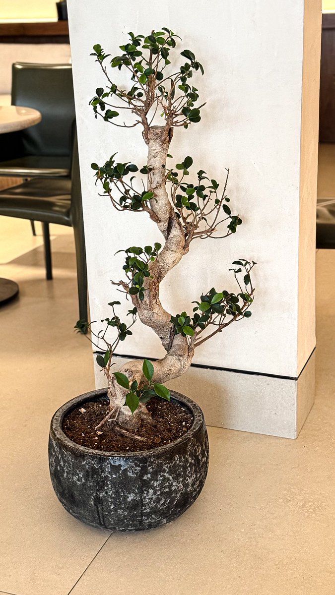 ضُحى | D O H A ..⚡️ tweet media