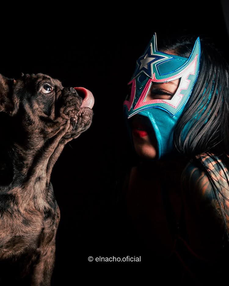 ◕‿↼) tweet media