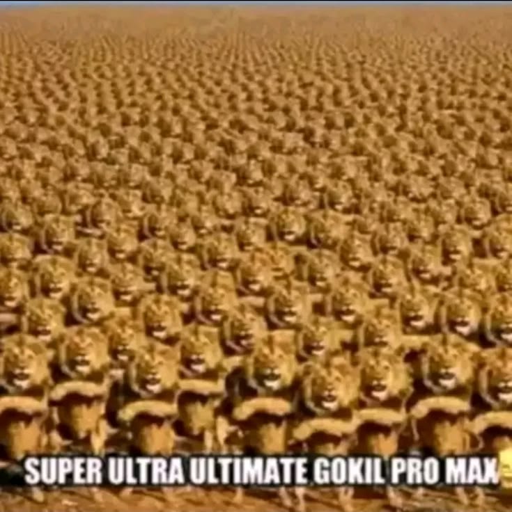 adek moonbit🌜 tweet media