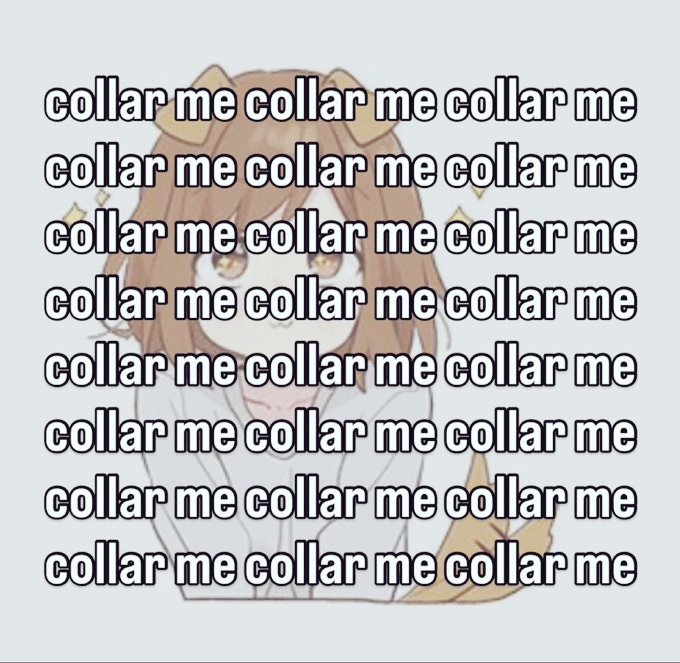 LucyFox🏳️⚧️ tweet media