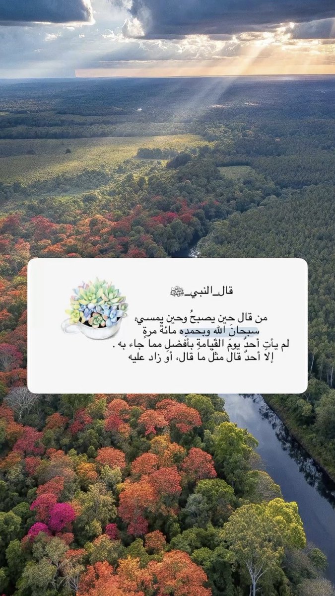 جَمِيلة tweet media