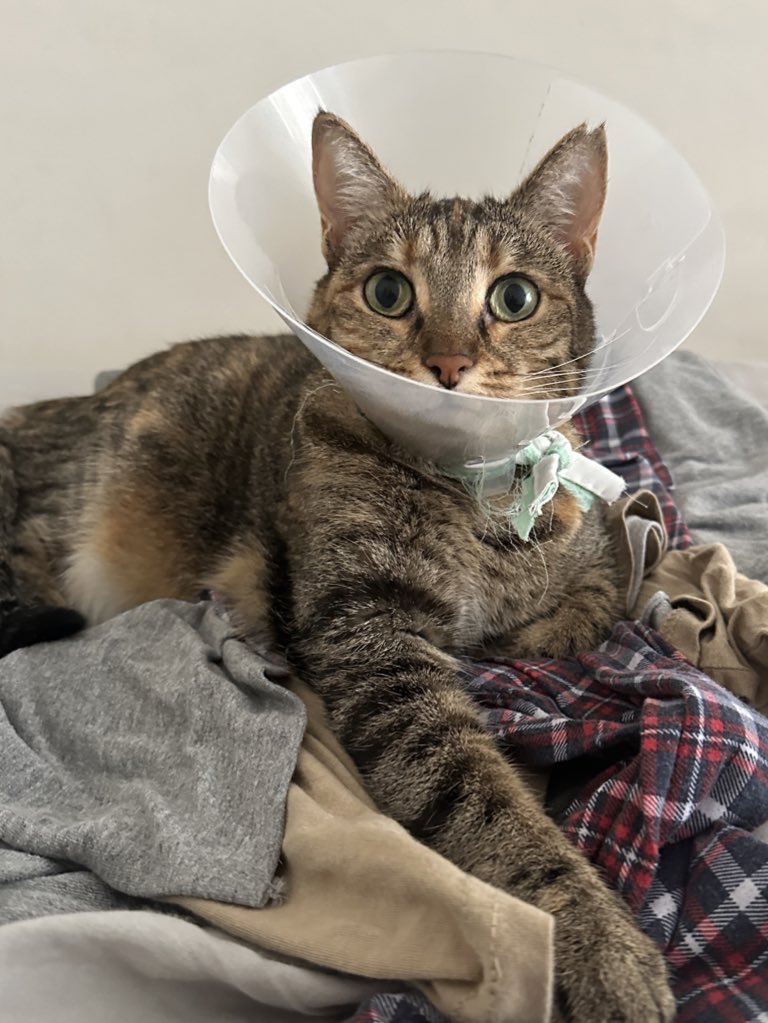 Mr. Wilford🏔️ tweet media