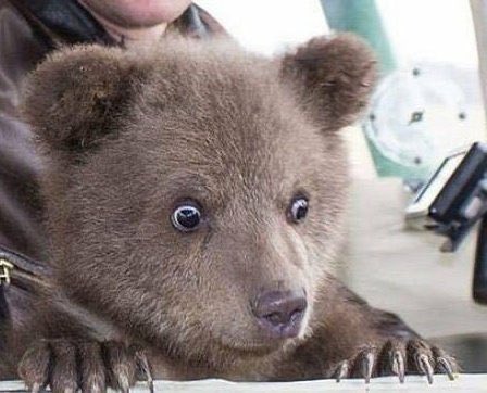 럭키🍀 tweet media