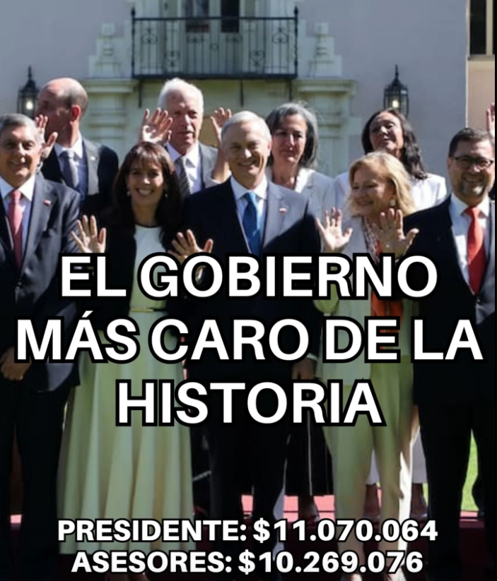 Yo❤️🐧Pingüino de Humboldt & 🐸 Ranita de Darwin tweet media