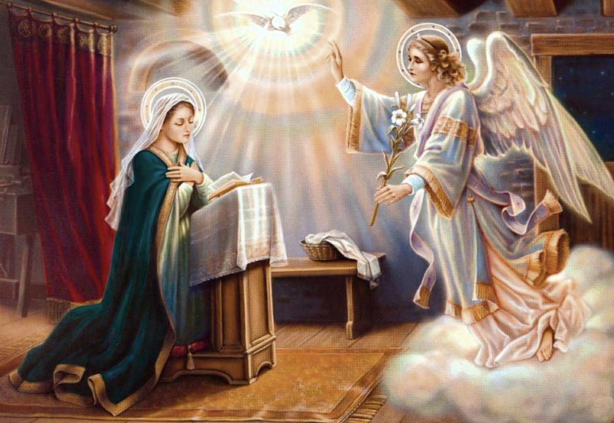 augustissimum's tweet image. 